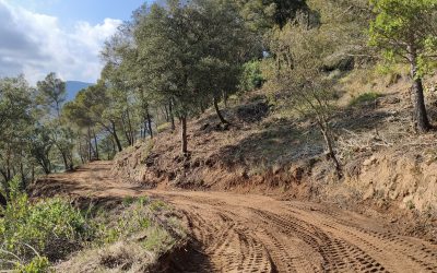 L’ADF Vilaplana – la Mussara realitza treballs d’arranjament i neteja de les franges laterals del Camí dels Planets