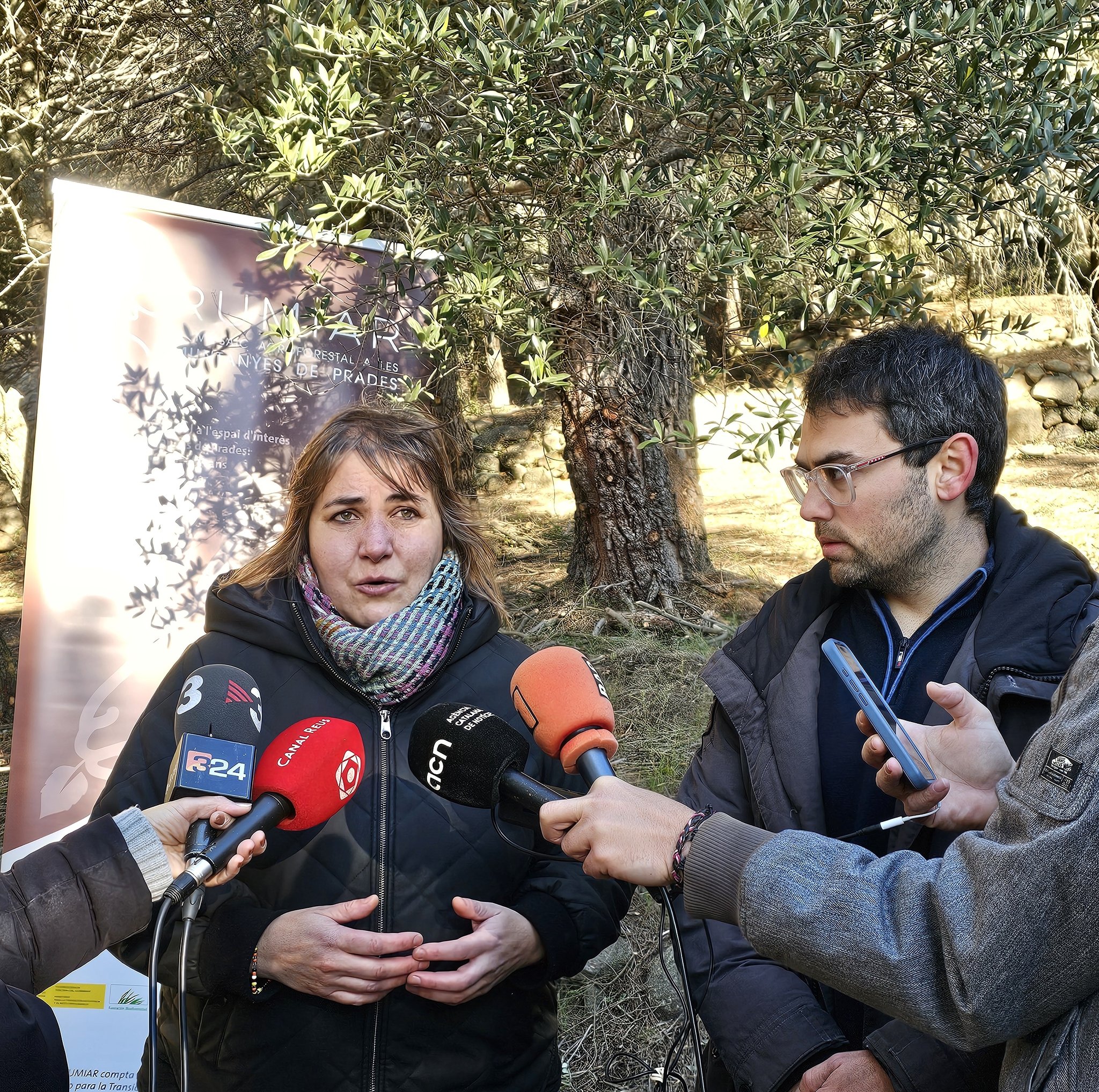 La diputació inicia els treballs forestals que permetran la creació d’àrees per a la prevenció de grans incendis a les muntanyes de prades